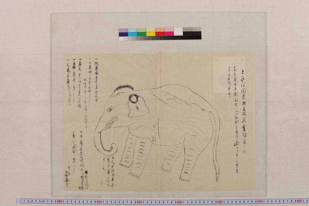 _今度从关东御召被为登候象之形__