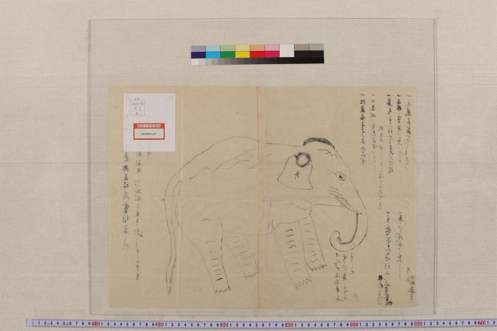 _今度从关东御召被为登候象之形__