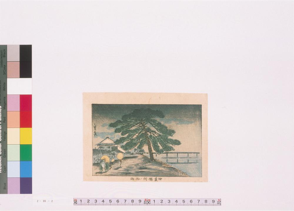 _田蓑槗蛸之松雨__