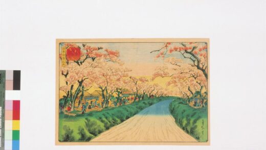 4314 小金井樱花之景 0622001435 1.jpg