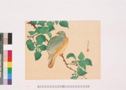 4338 二代长谷川贞信版画花鸟画 0622001524 1.jpg