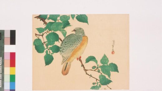 4338 二代长谷川贞信版画花鸟画 0622001524 1.jpg