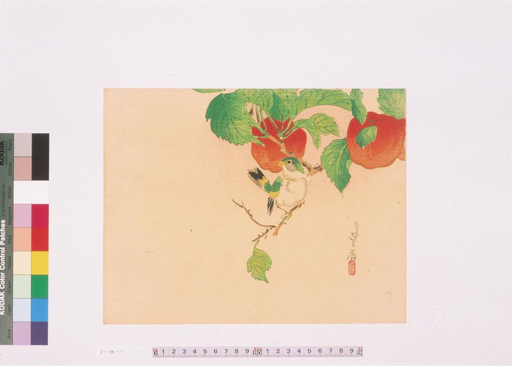 _二代长谷川贞信版画花鸟画__