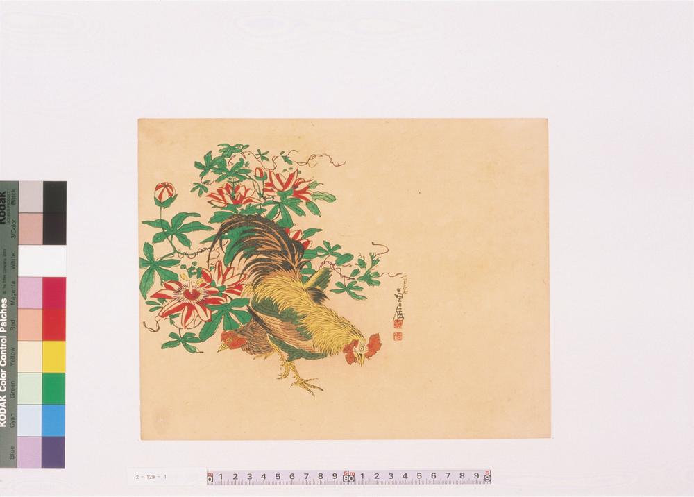 _二代长谷川贞信版画花鸟画__