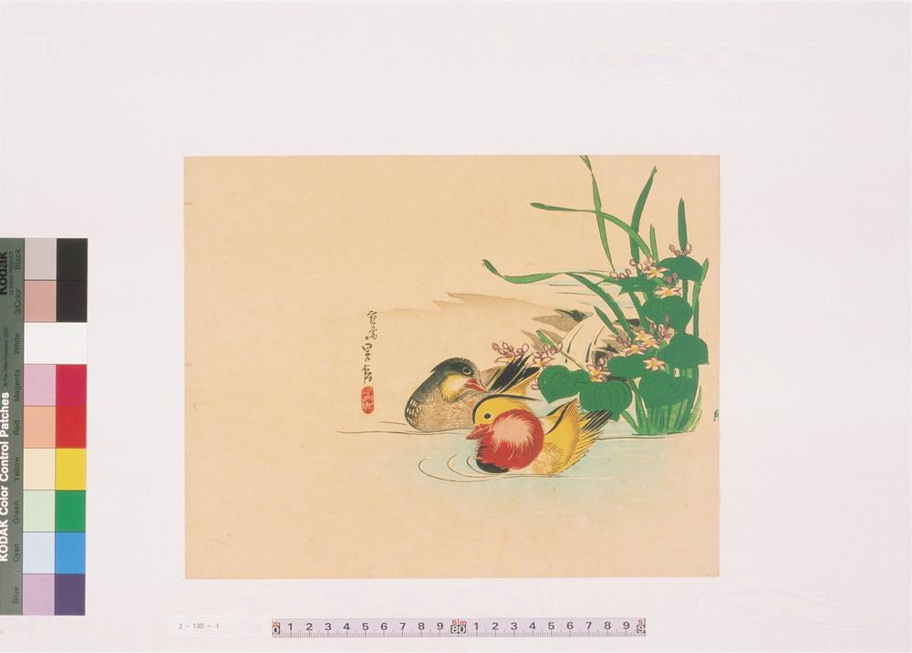 _二代长谷川贞信版画花鸟画__