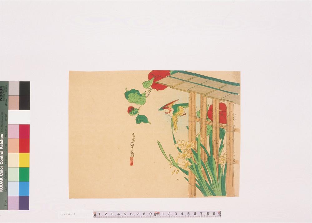 _二代长谷川贞信版画花鸟画__