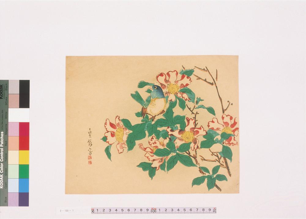 _二代长谷川贞信版画花鸟画__