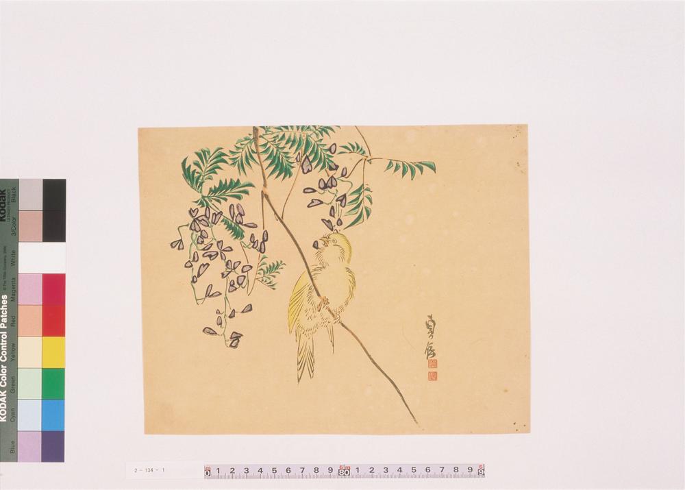 _二代长谷川贞信版画花鸟画__