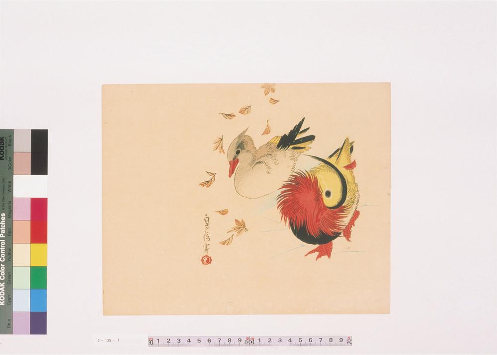 _二代长谷川贞信版画花鸟画__