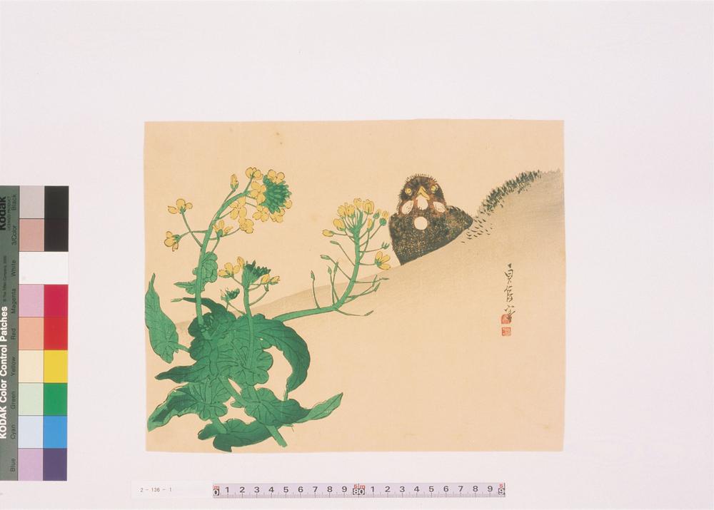 _二代长谷川贞信版画花鸟画__