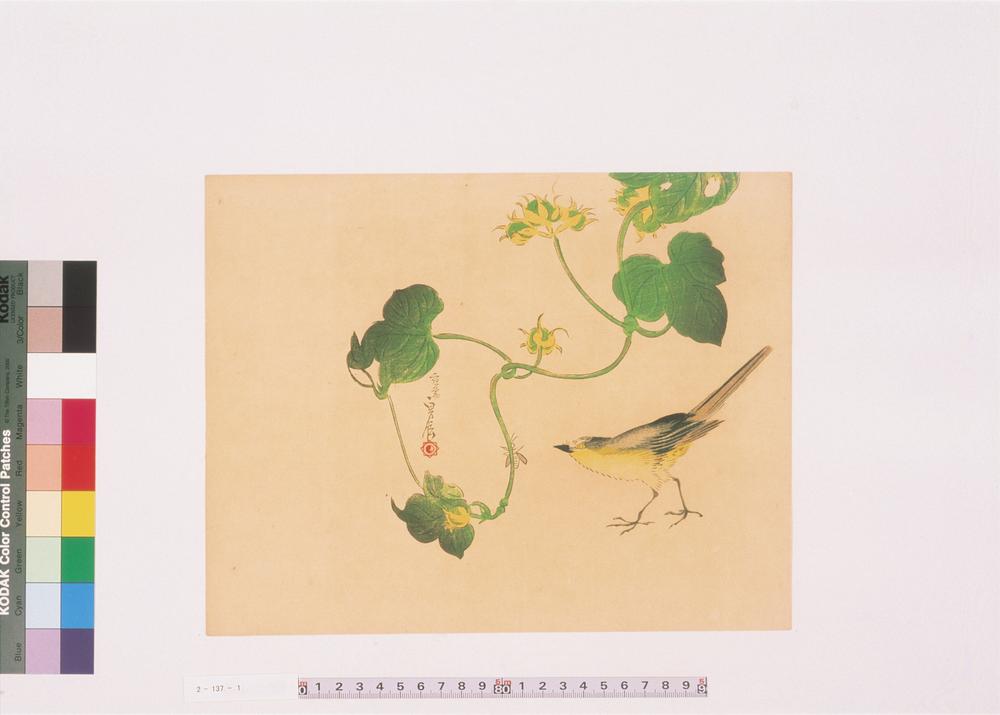 _二代长谷川贞信版画花鸟画__