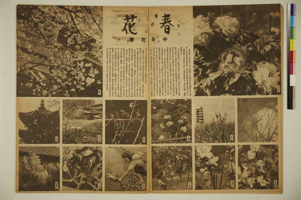 _大陆画刊(第六卷第四号)__