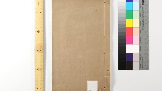 4546 王子安集佚文 1卷 唐王勃撰 清罗振玉辑 王子安集校记 0622002813 1.jpg