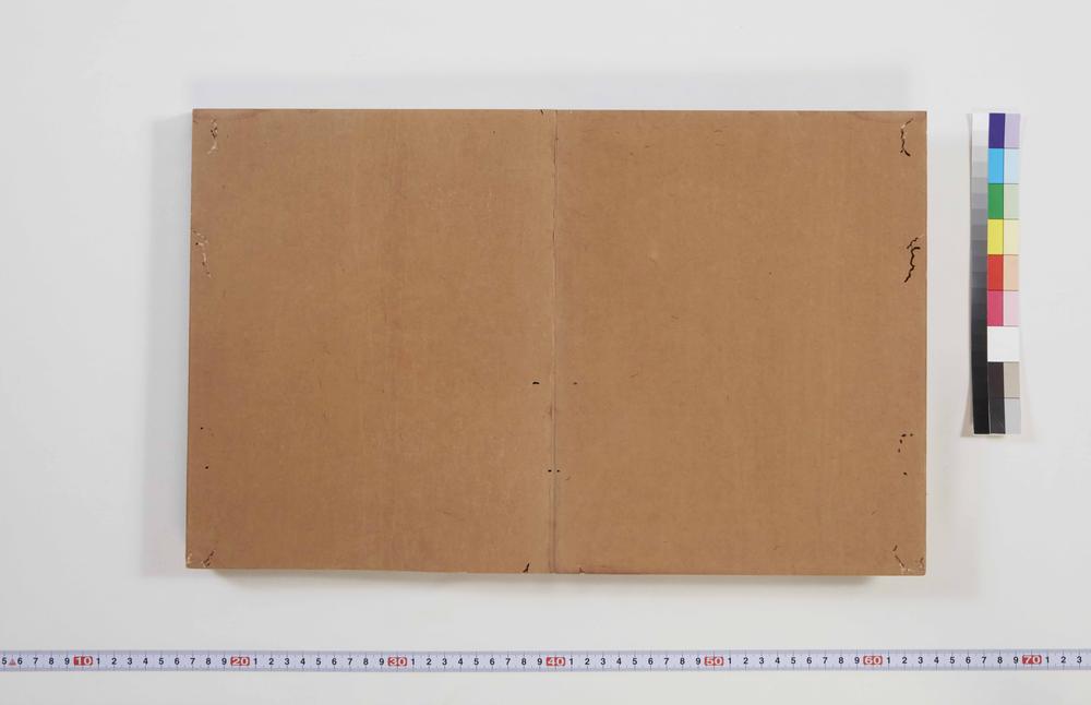 _大方广佛华严经__