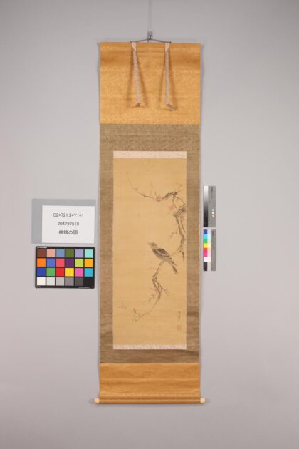 4721 桃鹎的图 0622003632 1.jpg