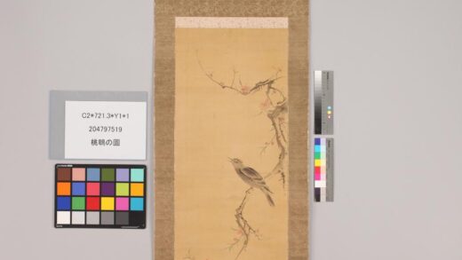 4721 桃鹎的图 0622003632 1.jpg