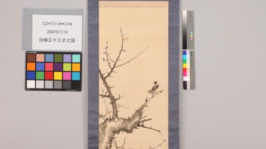 4724 白梅三十三才之图 0622003705 1.jpg