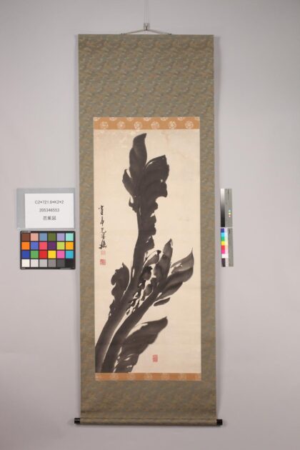 4740 芭蕉图 0622004004 1.jpg