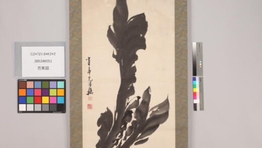 4740 芭蕉图 0622004004 1.jpg