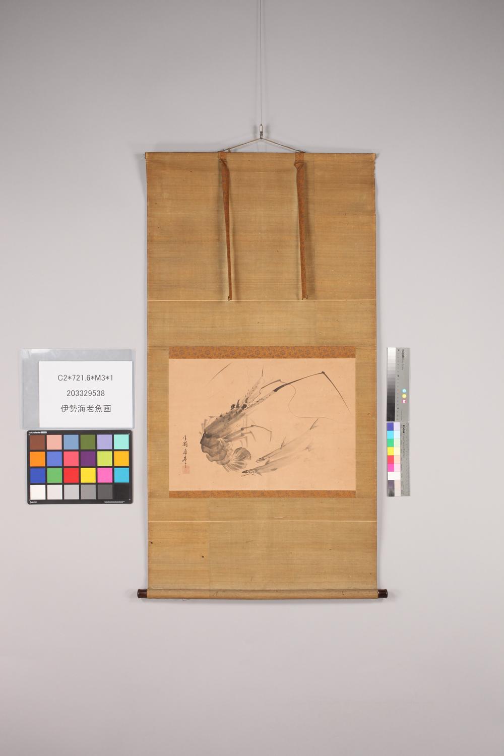 _伊势海老鱼画__