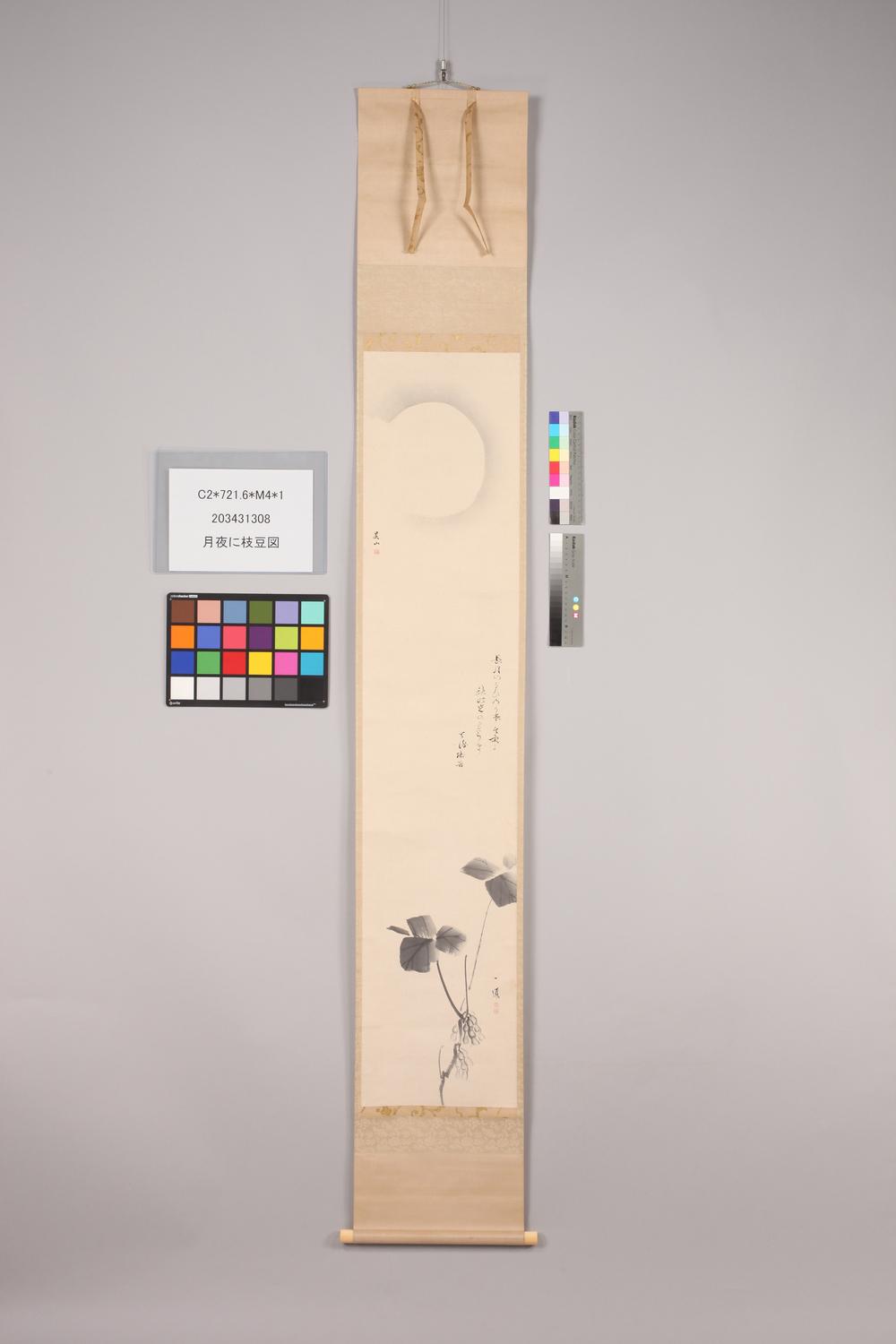 _月夜に枝豆图__