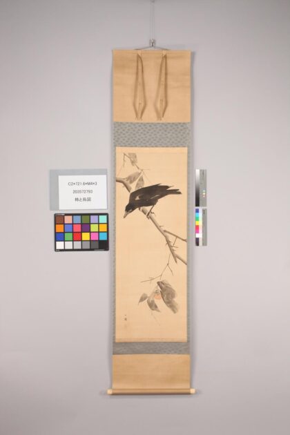 4750 柿と乌图 1109152603 1.jpg