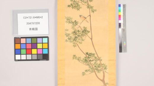 4756 青枫图 0622004251 1.jpg