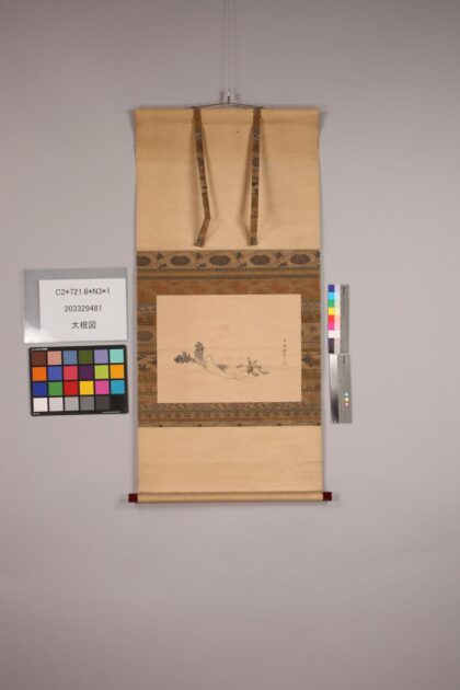 4762 大根图 0622004357 1.jpg