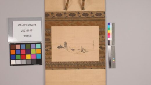 4762 大根图 0622004357 1.jpg