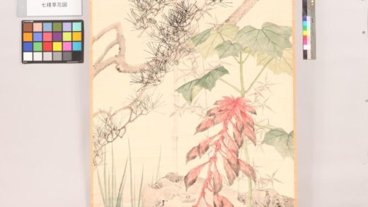 4782 七种草花图 0622004646 1.jpg