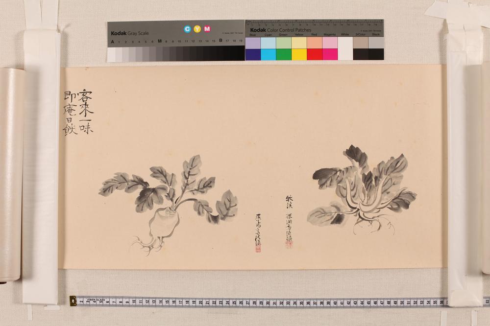 _鎌田巌松写画讃集__