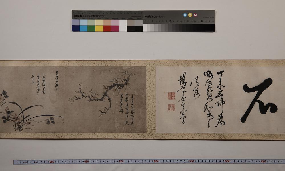 _四时花鸟图卷__