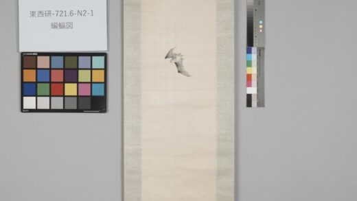 4817 蝙蝠图 0622005223 1.jpg