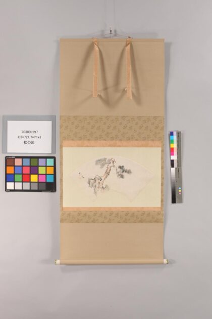 4864 松的图 0622010045 1.jpg