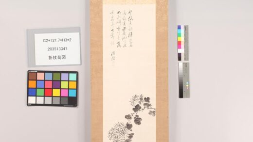 4897 折杖菊图 0622010652 1.jpg