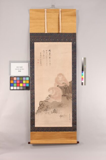 4936 猿图 0622011422 1.jpg