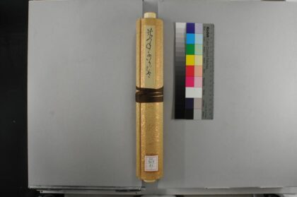 4941 狐狸嫁人的卷 0622011528 1.jpg