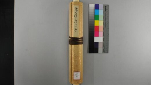 4941 狐狸嫁人的卷 0622011528 1.jpg