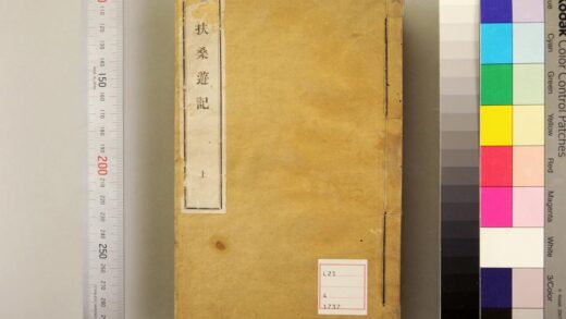 5080 扶桑游记 0622012758 1.jpg