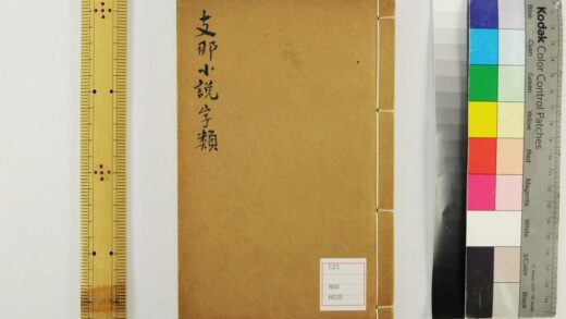 5265 支那小说字类 0622013527 1.jpg