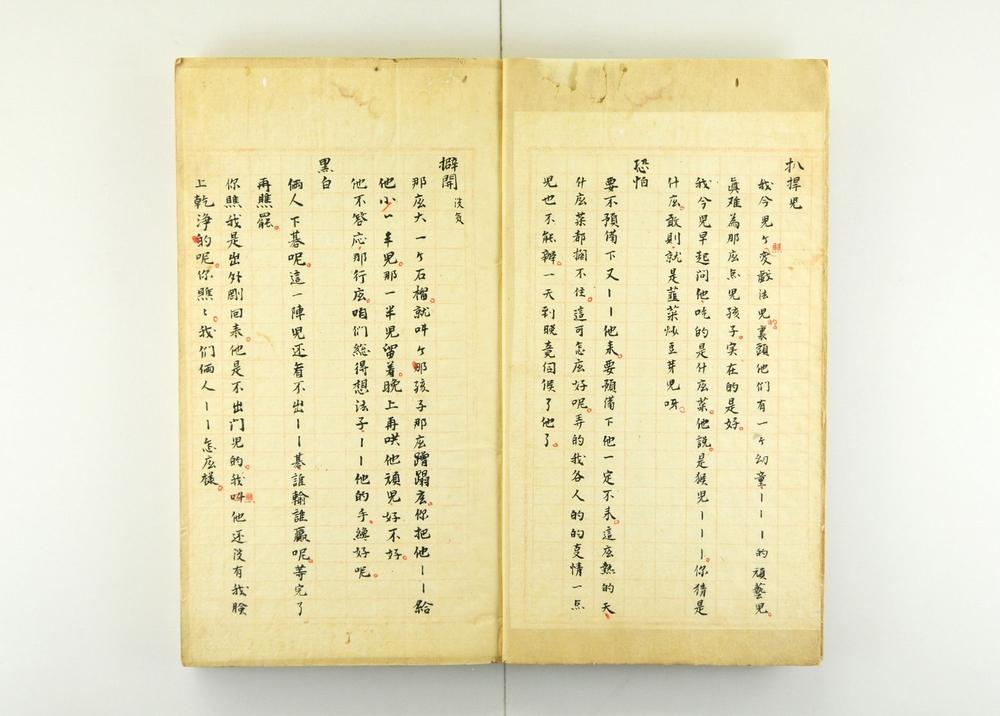 _中国语文例集__