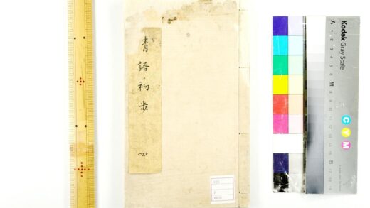 5540 中国语文例集 1109153119 1.jpg