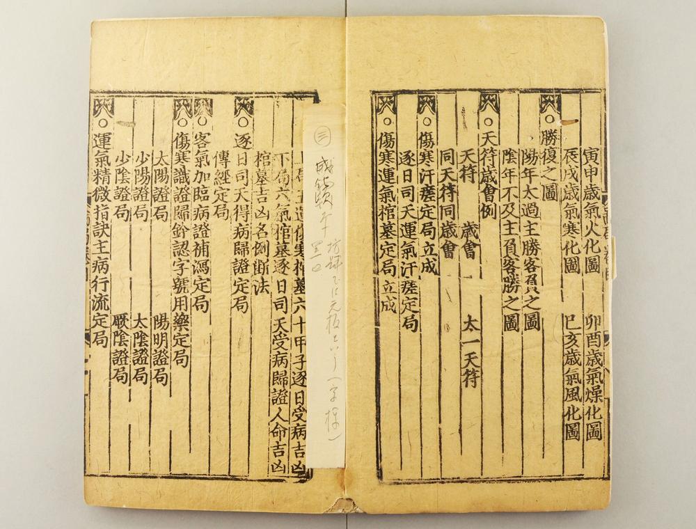 _素问运气图括定局立成__