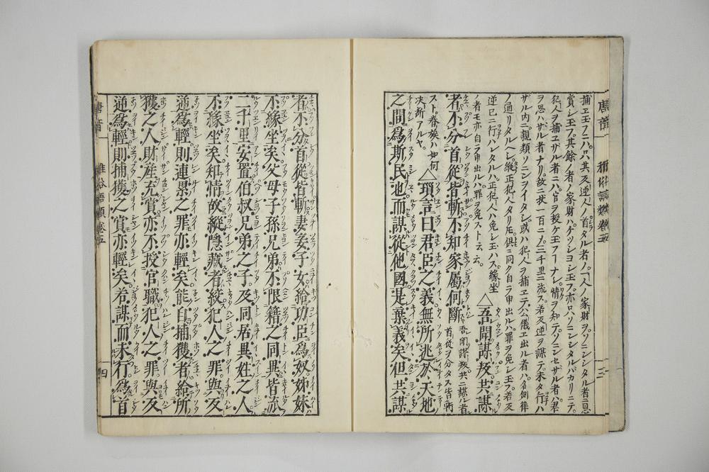 _唐音雅俗语类卷__