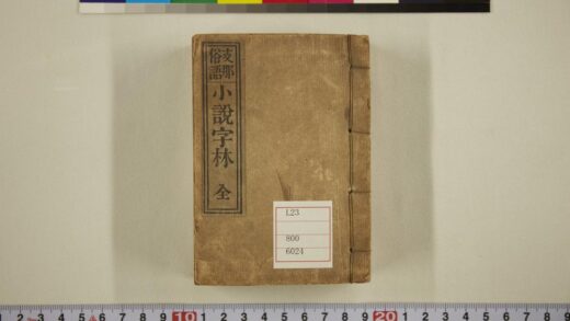 5654 支那俗语小说字林 0622015306 1.jpg