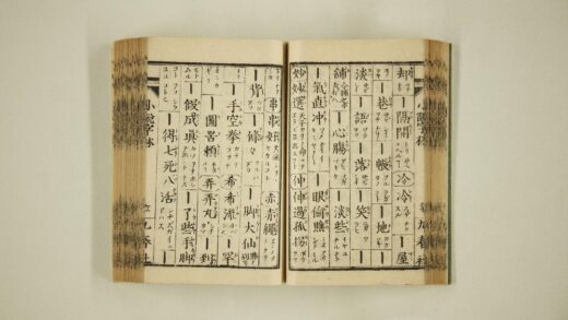 5675 支那俗语小说字林 0622015508 1.jpg