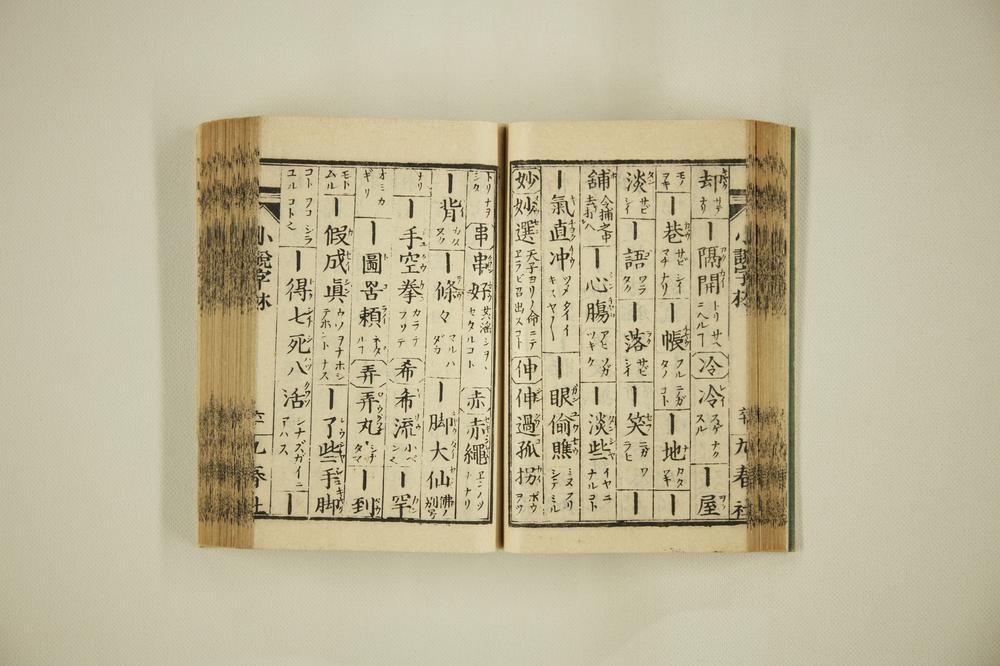 _支那俗语小说字林__