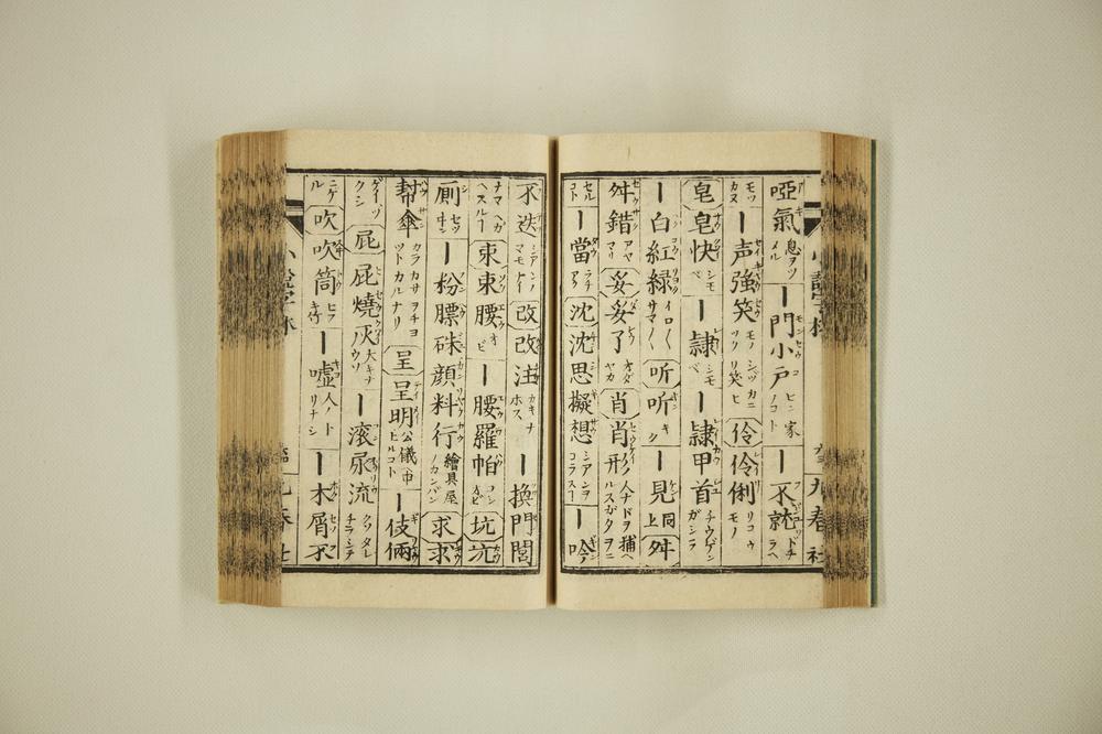 _支那俗语小说字林__