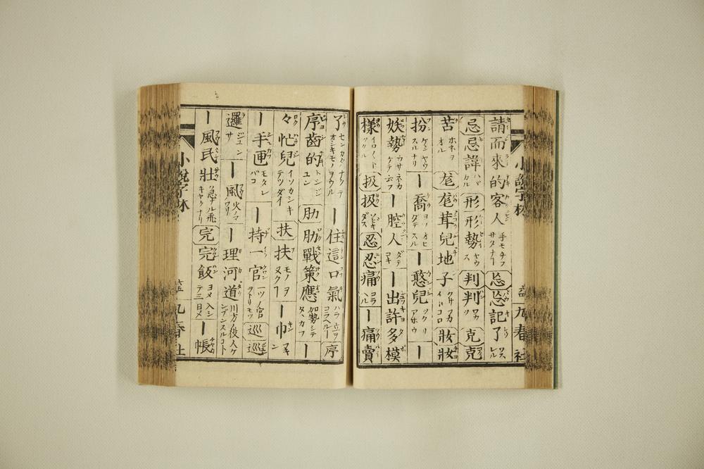 _支那俗语小说字林__