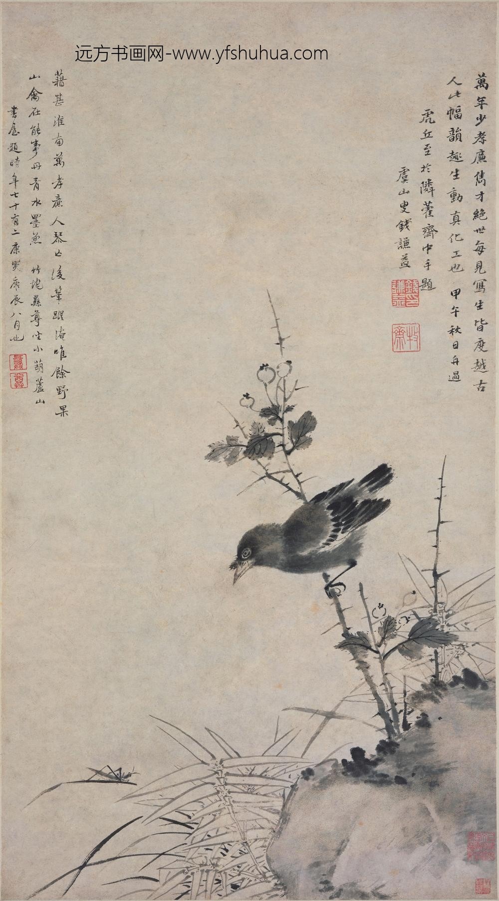 万寿祺_野果山禽图轴